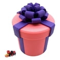 thumbnail image 1 of 10‑Layer Annoying Nested Screw Prank Gotcha Box, Reusable Money Puzzle Gift Box for Cash Mini Surprises, Funny Gag Present for Adults Birthday Christmas White Elephant Party, 1 of 8