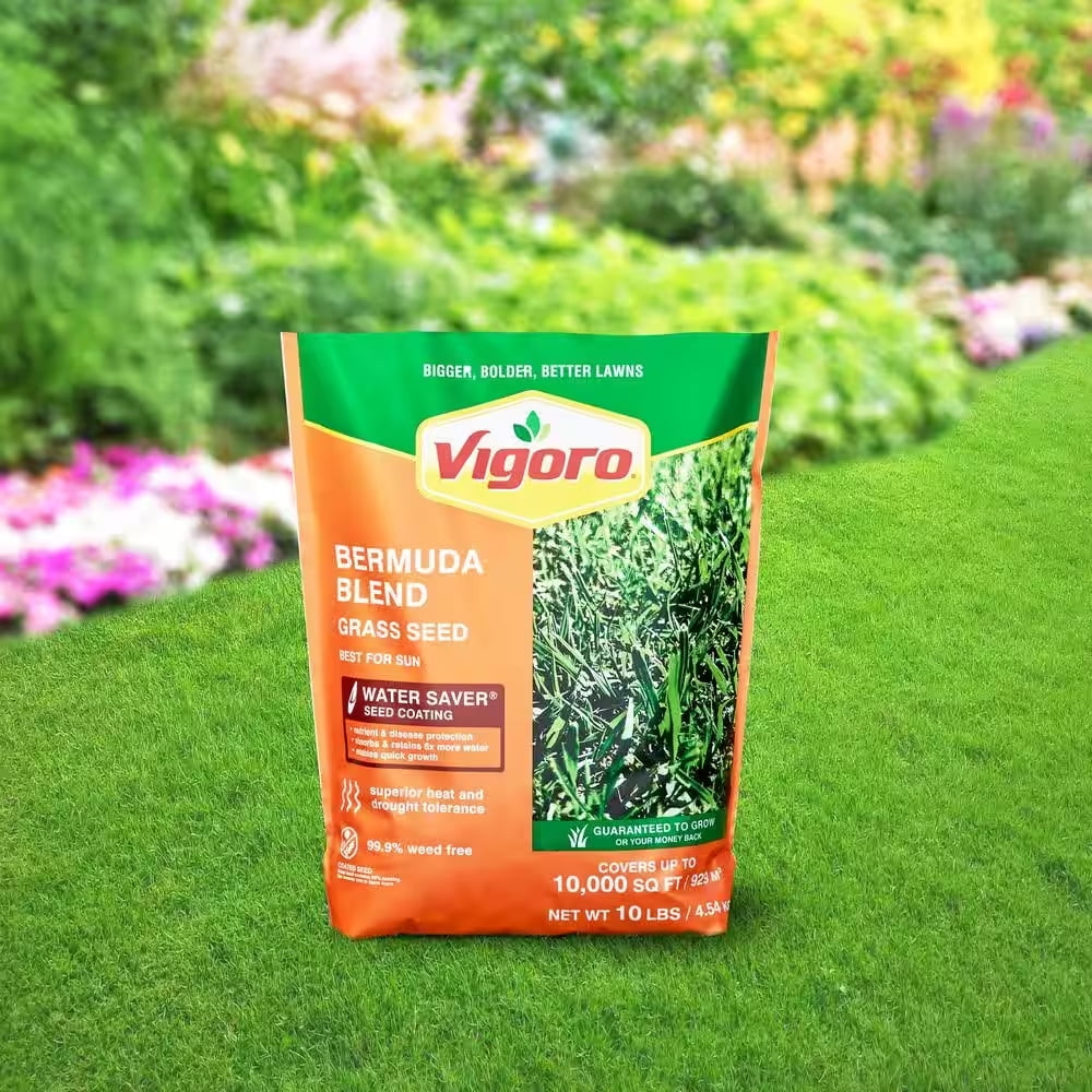 10 Lbs. Bermuda Grass Seed Blend With Water Saver Seed Coating Lawn