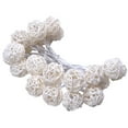 thumbnail image 1 of 10 Lights, Natural Rattan String Lights, Battery Powered for Patio, Wedding, Garden and Partyblue light + white light, 1 of 5