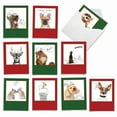 thumbnail image 1 of 10 Merry Christmas Note Cards Pack (4 x 5.12 Inch) - HOLIDAY DOGS & DOODLES M6582XSB, 1 of 6