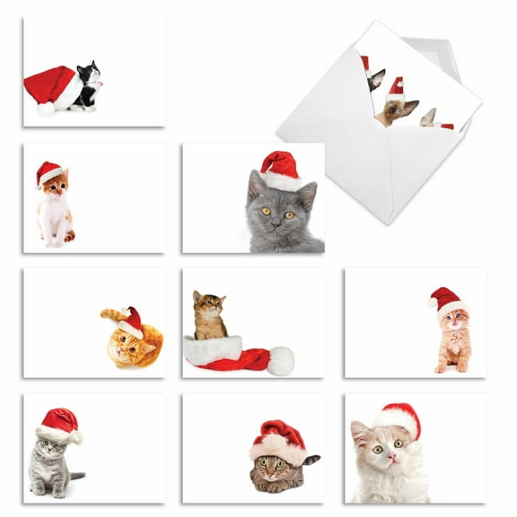 10 Merry Christmas Note Cards Pack (4 x 5.12 Inch) - SANTA CATS M6687XSB