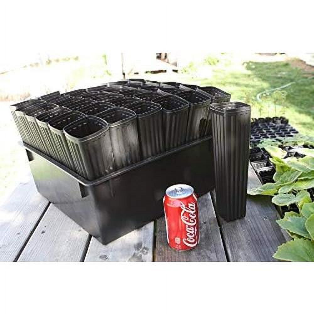 10" Mini Tree Pots With Heavy Duty Tray