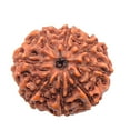 thumbnail image 1 of 10 Mukhi Rudraksha Bead Indonesian Java Rudraksha Lab Certified Quality 10-15mm, 1 of 2