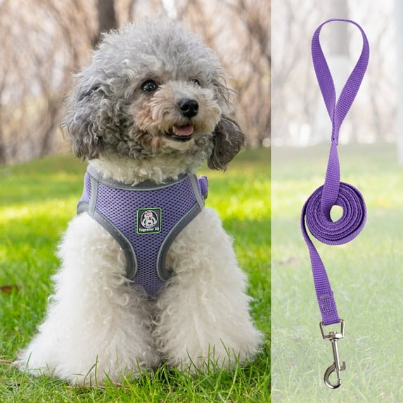Dog Harness Leash Pet Harness and Leash Set with Reflective Strip Soft Breathable Vest for Walking and Running JASKFLY
