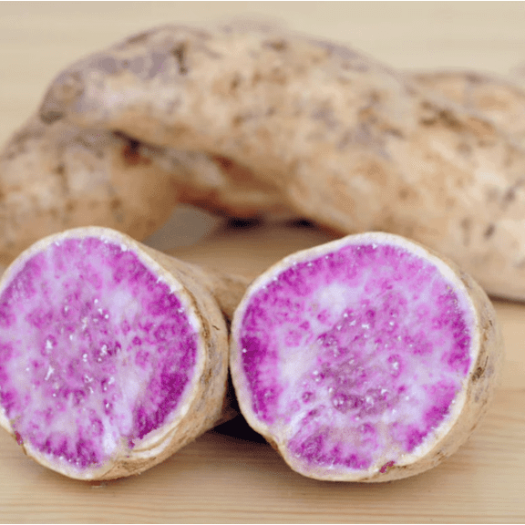 10 Okinawa Hawaiian Yam Sweet Potato Slips for Planting - Purple Sweet Potato Garden Starts - Healthy Root Vegetable Slips