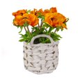 thumbnail image 1 of 10 in. Orange Anemone Flower Bouquet in White Basket, 1 of 4