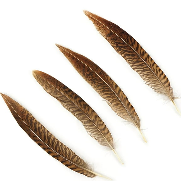 10 PC/PKG Golden Pheasant Tails  4-6" - Natural