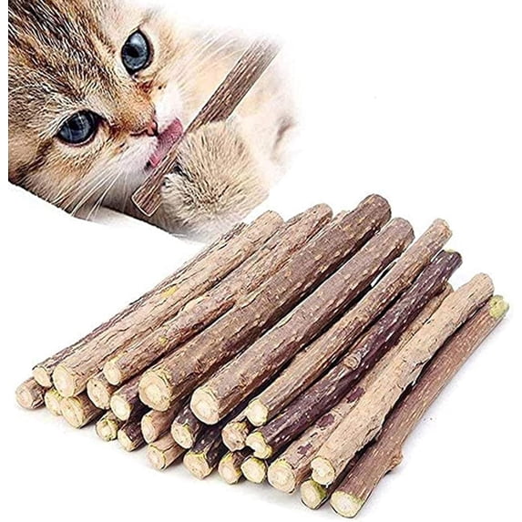 10 PCS Catnip Sticks Organic Cat Chew Toys Natural Plant Chew Sticks Teeth Cleaning Chew Toy Kitten Kitty