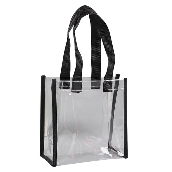 10 PCS Clear Gift Bags with Handles,Small Reusable Party Favor Bags, Transparent Goodie Bags for Wedding,Baby Shower, Birthday (10" x 10" x 4")ï¼Black