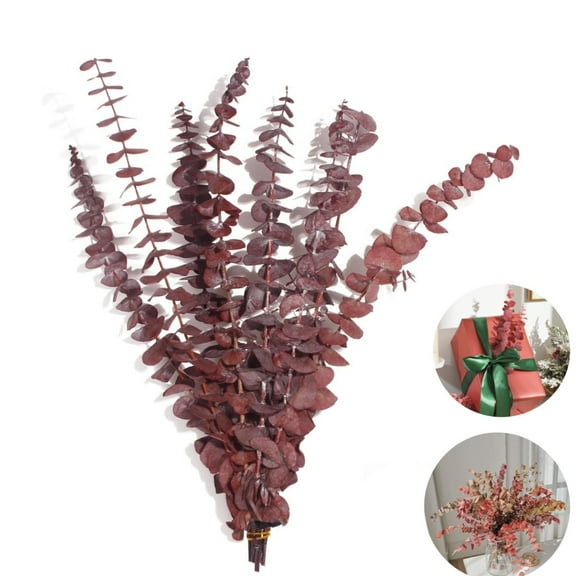 10 PCS Eucalyptus for Shower, Natural Dried Eucalyptus Plant Eucalyptus Leaves Branches 17inch Fall Leaf Autumn Leaves for Vases Flower Arrangement Fall Home Decor, Red