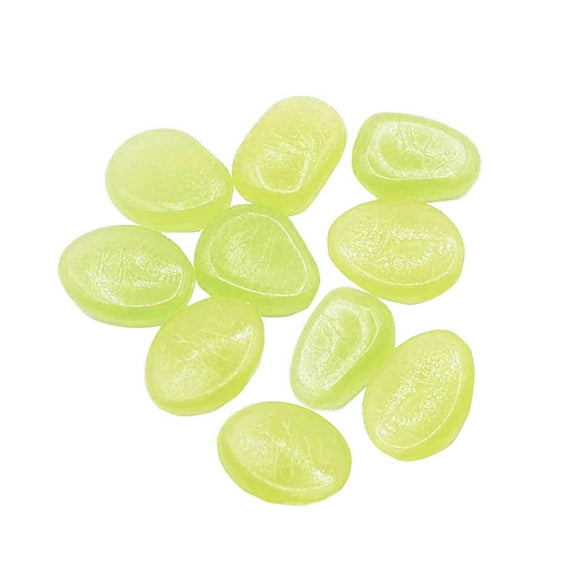 10 PCS Glow in The Dark Rocks - Luminous Pebbles for Aquarium, Garden Path, Yard Decor - DIY Glowing Stones for Fish Tank, Walkway, Bonsai & Outdoor Landscape Lighting