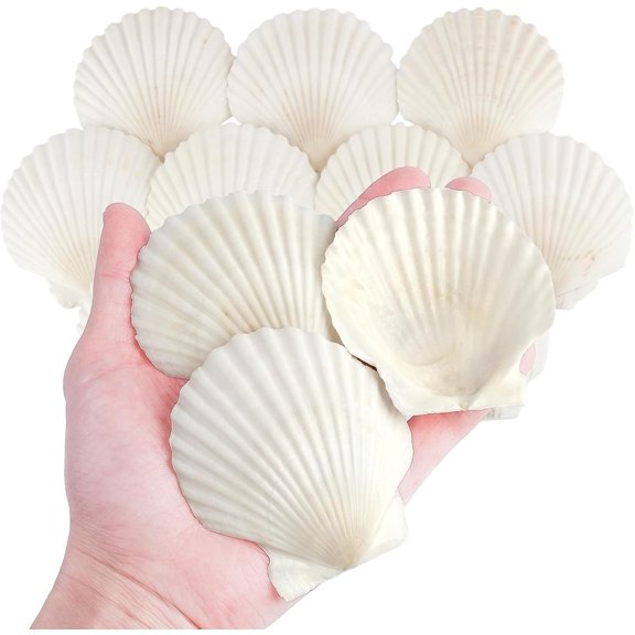10 PCS Natural Scallop Shells for Crafts, 3 Inch White Seashell Decor for Home, Sea Shells for Decorating, DIY, Painting, Baking, Beach Wedding Decorations