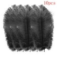 thumbnail image 1 of 10 PCS Ostrich Feathers,Bulk Soft Feathers for Crafts Centerpieces Party Wedding Home Decorations Dream Catchers Vases (Black,7.8-9.8 Inch), 1 of 4