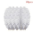 thumbnail image 1 of 10 PCS Ostrich Feathers,Bulk Soft Feathers for Crafts Centerpieces Party Wedding Home Decorations Dream Catchers Vases (Grey,7.8-9.8 Inch), 1 of 3