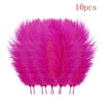 thumbnail image 1 of 10 PCS Ostrich Feathers,Bulk Soft Feathers for Crafts Centerpieces Party Wedding Home Decorations Dream Catchers Vases (Hot Pink,7.8-9.8 Inch), 1 of 4