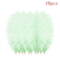 thumbnail image 1 of 10 PCS Ostrich Feathers,Bulk Soft Natural Feathers for Crafts Centerpieces Party Wedding Home Decorations Dream Catchers Vases (Light Green 8-9.8 Inch), 1 of 5