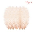 thumbnail image 1 of 10 PCS Ostrich Feathers,Bulk Soft Natural Feathers for Crafts Centerpieces Party Wedding Home Decorations Dream Catchers Vases (Orange 8-9.8 Inch), 1 of 4
