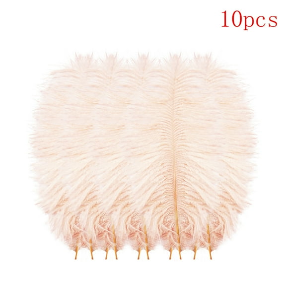 10 PCS Ostrich Feathers,Bulk Soft Natural Feathers for Crafts Centerpieces Party Wedding Home Decorations Dream Catchers Vases (Orange 8-9.8 Inch)