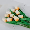 thumbnail image 1 of 10 PCS Real Touch Artificial Tulip Flowers 13 Inch PU Tulips Stems, Multicolor Spring Bouquet for Easter, Mother's Day, Valentine's Decor, Wedding, and Home Floral Arrangements -F, 1 of 5