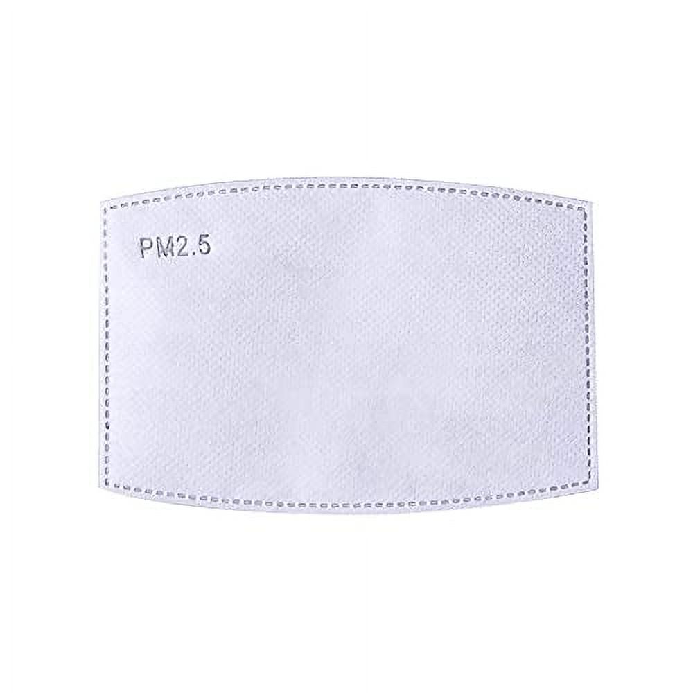 10 PM 2.5 Face Mask Filters with Activated Charcoal PM2.5 Facemask