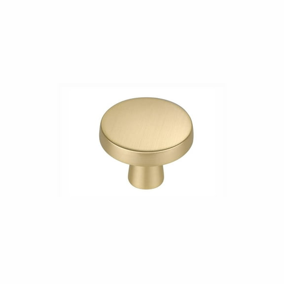 Fitviso 10 Pack 1-1/4 Inch Brushed Brass Kitchen Cabinet Knobs，Solid Dresser Knobs Drawer Knobs For Cupboard Drawer Pulls