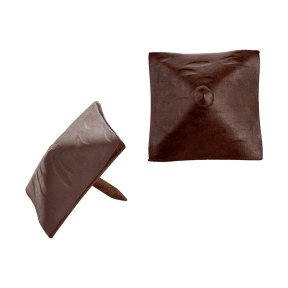 10 Pack 1.25 Inch Sealed Rusted Decorative Door Nail Clavos By Borderland Rustic Hardware