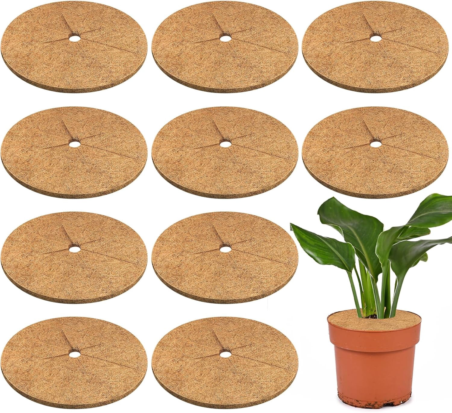 10 Pack 100% Biodegradable Compostable 11.8 Inch Coconut Coir Mulch Ring, Eco-Friendly Sustainable Coco Coir Tree Protector Mat, Zero Waste Cover Disc for Indoor Outdoor Organic Gardening