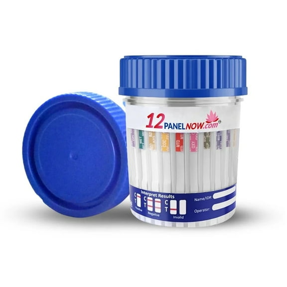 [10 Pack] 12panelnow Easy-Read 10 Panel Drug Test Cups, Detects Amp, Bup, Bzo, Coc, Mdma, Met, Mtd, Oxy, Opi, Thc