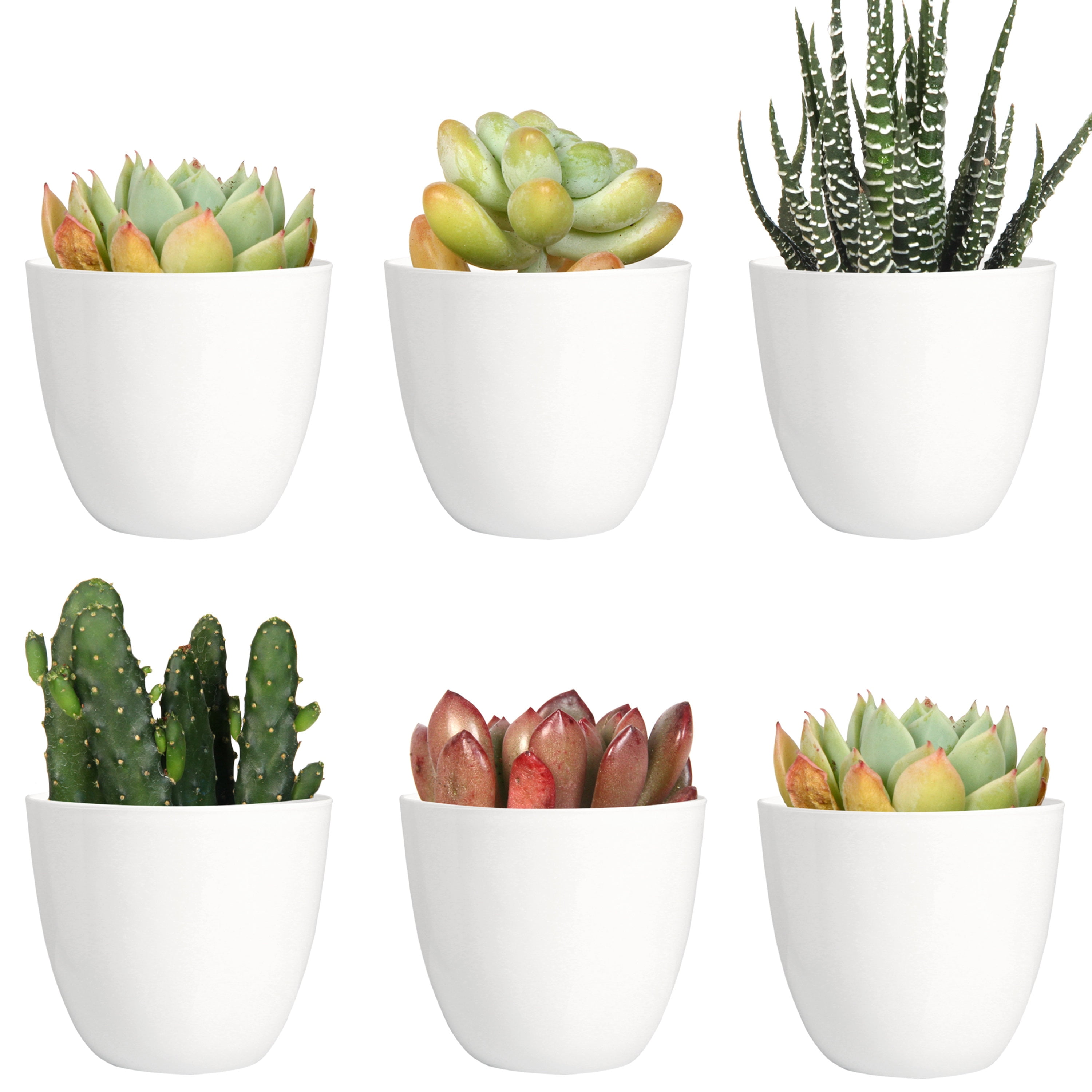 10 Pack 3 Inch Mini Plastic Planters Indoor Flower Plant Pots, White Gardening Pot with Drainage for All House Plants - Modern YE391.781
