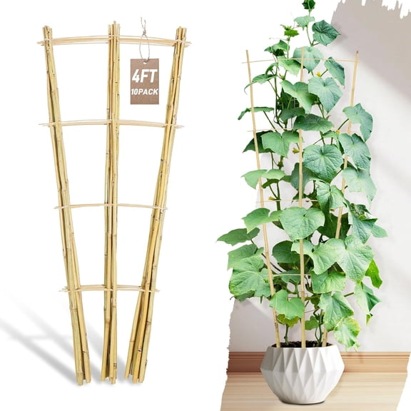 10 Pack 48 Inch Fan Shaped Bamboo Trellis for Climbing Plants