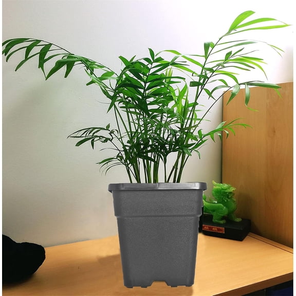 10 Pack 5 Gallon Plastic Garden Plant Nursery Pot Square Black Injection Molding Nursery Pot for Indoor or Outdoor