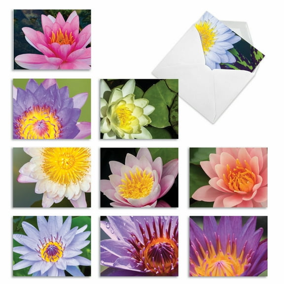 The Best Card Company 10 Assorted Blank All Occasions Notes Set 4x5.12 w/ Envelopes, 10x1 Designs, for Men, Women, Lily Pond M3070