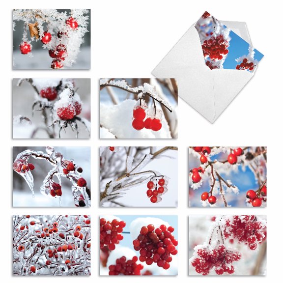 The Best Card Company 10 Assorted Blank All Occasions Notes Pack Set 4x5.12 w/ Envelopes, 10x1 Designs, For Men, Women, Merry Berries M3274