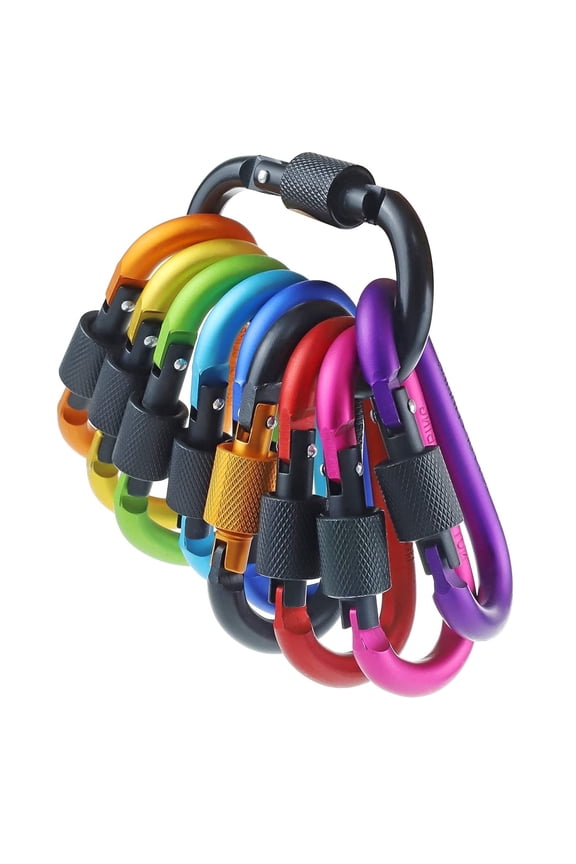 10 Pack Aluminum D Ring Key Rings Hiking Clips Locking Carabiner for Hiking Camping Fishing Hooks and Outdoor Use，Clips with Screw Gate Multicolored