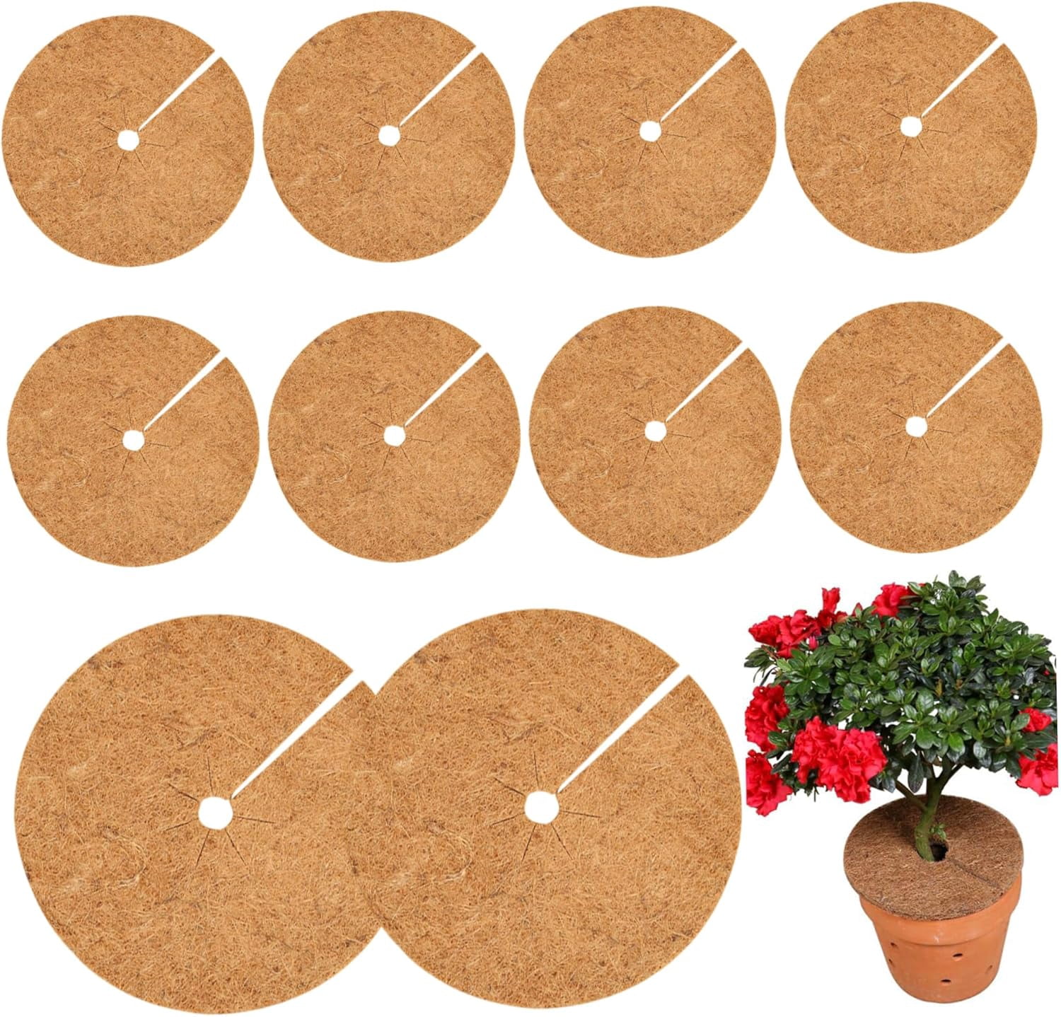 10 Pack Anti-Soil Compaction 11.8 Inch Coconut Coir Mulch Ring, Soil Aeration Boosting Coco Coir Tree Protector Mat, Microbial Health Cover Disc for Indoor Outdoor Garden Potted