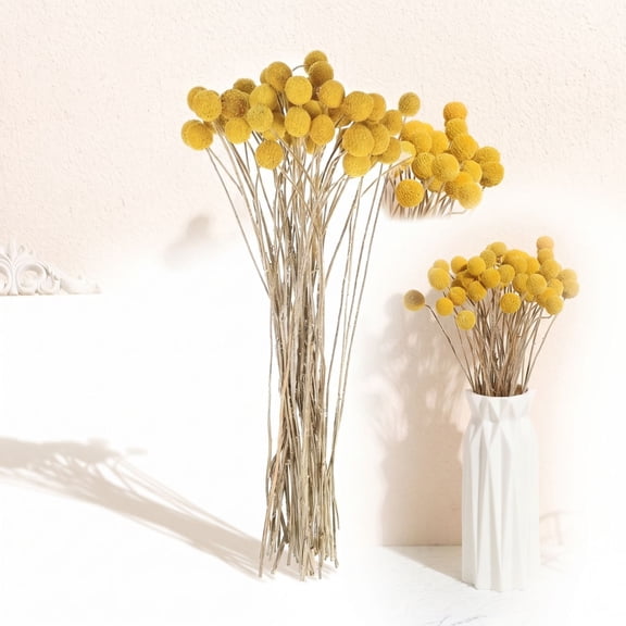 10 Pack Artificial Flowers Golden Ball Craspedia with Stem, Fake Yellow Billy Balls 17 Inch, Dried Preserved Floral Stems for Vase Home Decor