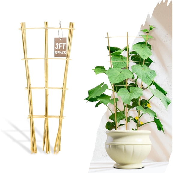 10 Pack Bamboo Trellis for Climbing Plants, 3 FT Garden Ladder Trellis for Potted Plants Indoor, Fan-Shaped Small Plant Support Trellis for Houseplants Ivy Hoya Vine Monstera