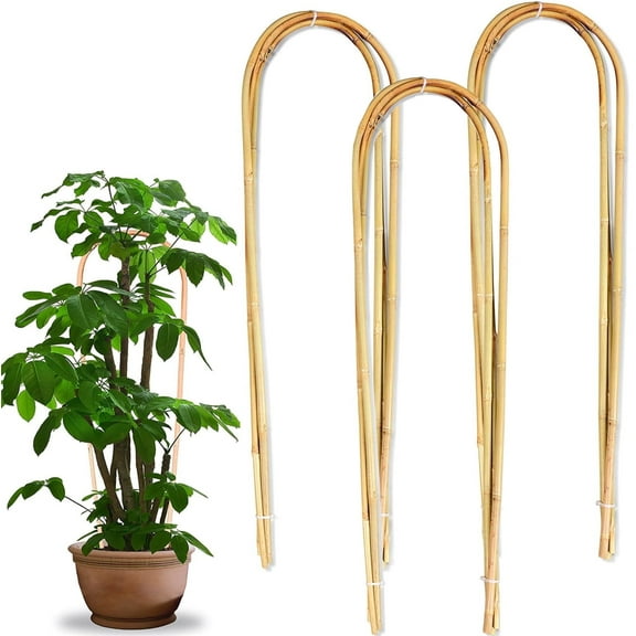 10 Pack Bamboo Trellis,Natural Bamboo Plants Trellis U-Hoop,Bexikou 16" Garden Trellis with Ties,Bamboo Trellis U-Shape for Climbing Plant Support, Small Plant Support for Vegetables, Flowers