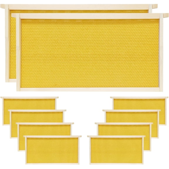 10 Pack Beehive Frames Deep Unassembled, Wooden Bee Frames with Plastic Beeswax Coated Foundations for Deep Brood Box (Yellow)