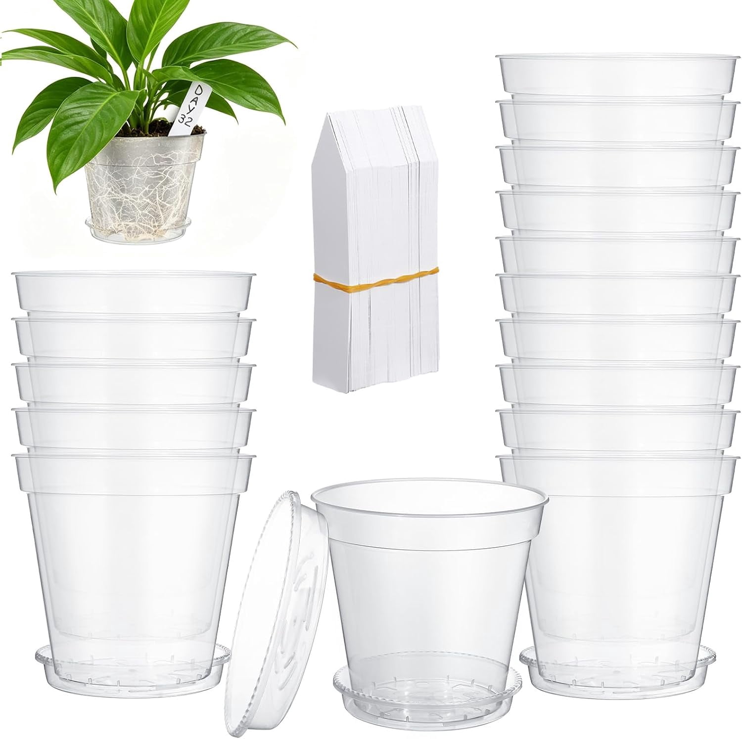 Pot Making Transparent 10‑Pack Clear Nursery Plant Pots with Drainage Holes & Saucers, 8.19 ...