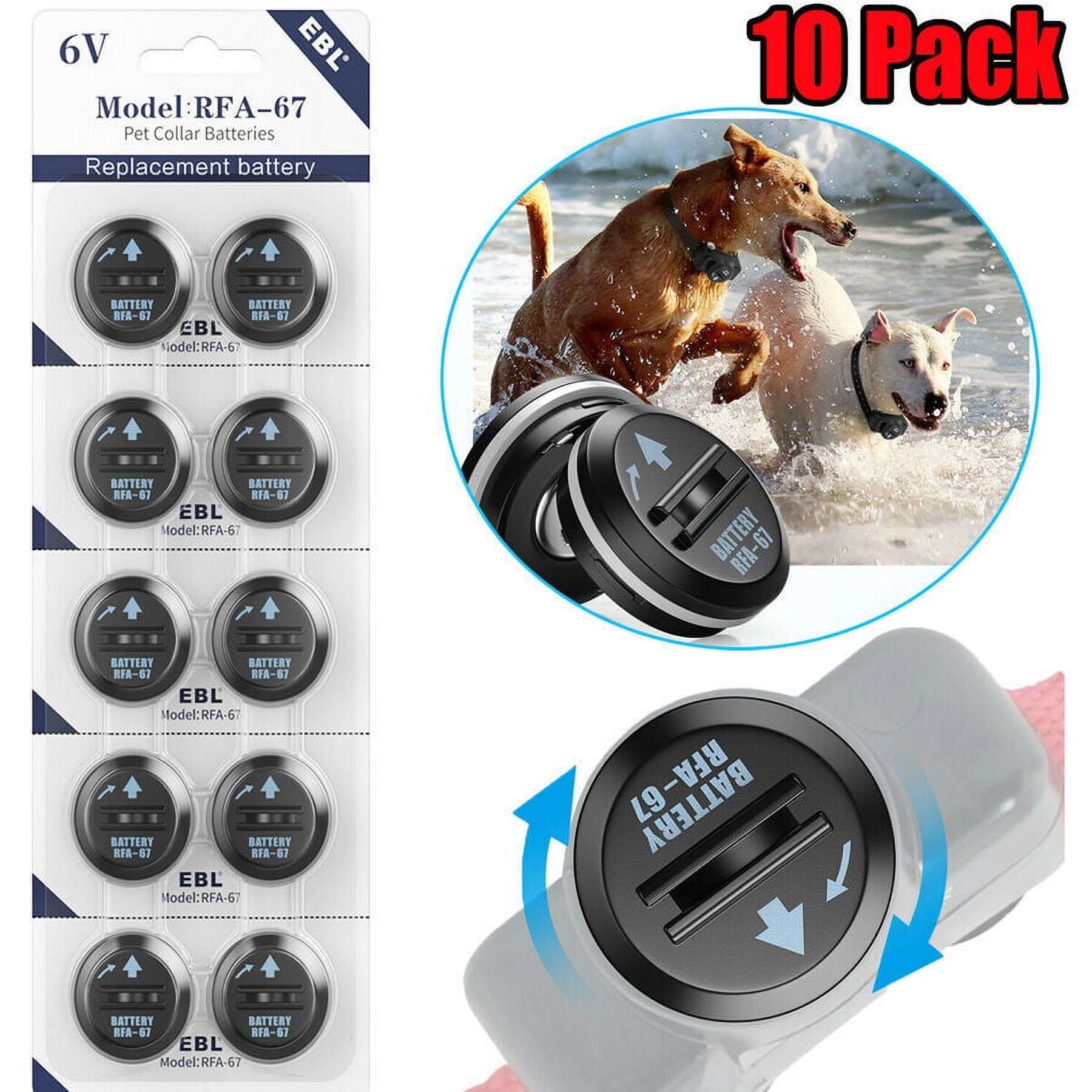 Dog collar hotsell battery walmart
