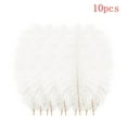 thumbnail image 1 of 10-Pack Floating Plume Feathers, 20-25cm Multicolor Natural Feathers for Wedding Centerpieces, DIY Hair Accessories & Craft Decorations, 1 of 3