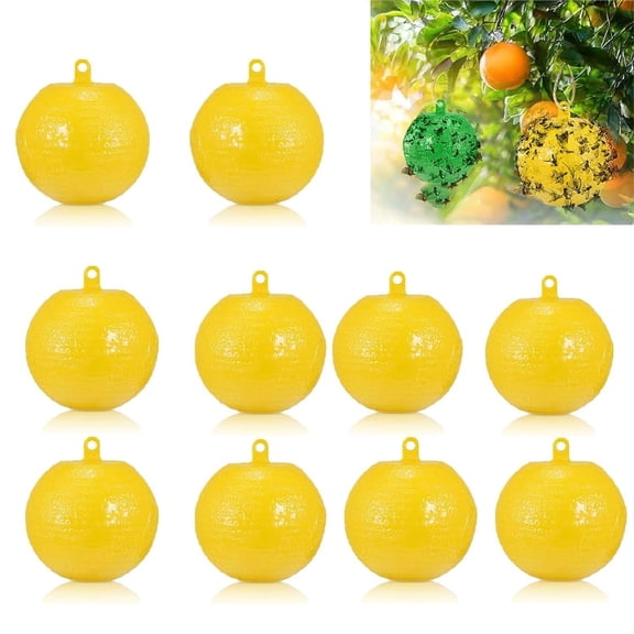 10 Pack Fruit Fly Trap Ball - Hanging Fungus Gnat Killer Catcher for Indoor Outdoor Plant