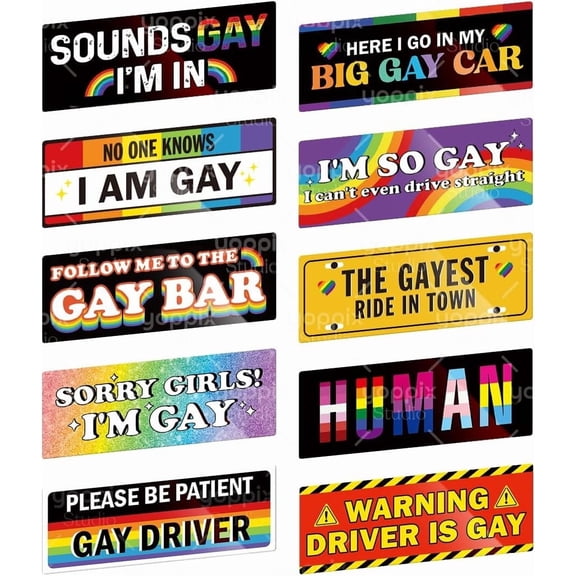 10 Pack Gay Pride Rainbow Car , LGBT Bumper Sticker Decals, Waterproof Reusable Magnetic Stickers, 3.1 x 8.5 In