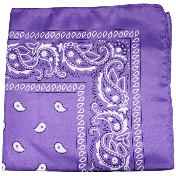 10 Pack Mechaly Dog Bandana Neck Scarf Paisley Polyester Bandanas - Any Pets