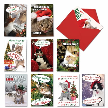NobleWorks 10 Assorted Set Funny Cats Christmas Greeting Cards w/ 5x7 Envelopes, 10x1 Designs, for Men, Women, PetiGreet Cat-Mass A1254