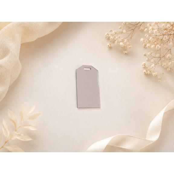 10-Pack Mirrored Acrylic Luggage Tags, 3.35 x 1.97 Inches---Silver