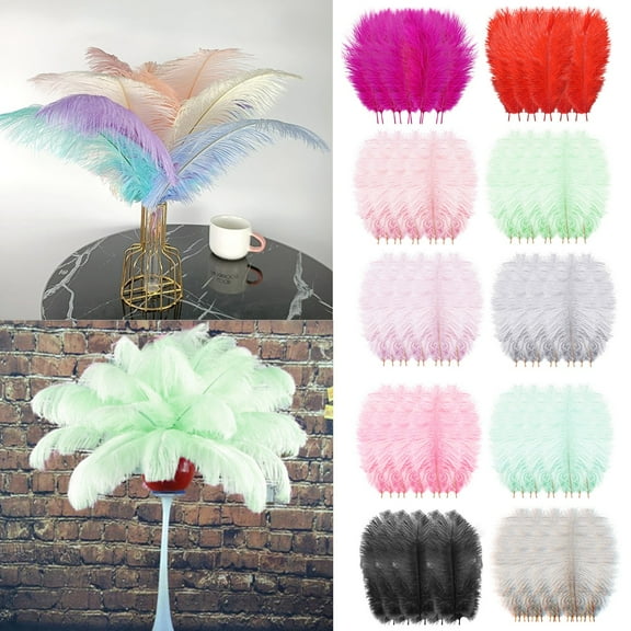 10 Pack Multicolor Floating Plumage Large Feathers for Wedding Centerpieces and DIY Decor