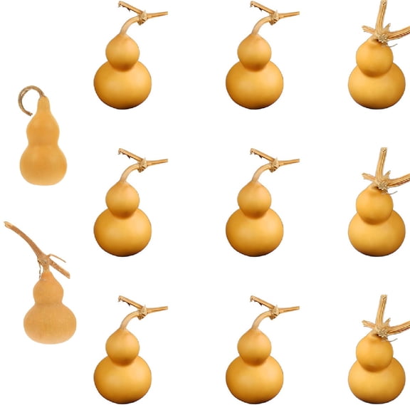10 Pack Natural Dried Mini Gourds, DIY Craft Dried Gourd Ornaments, DIY Painting Carving Crafts, Rustic Decor for Living Room, Shop & Tabletop, 4‑7cm/1.57‑2.76in