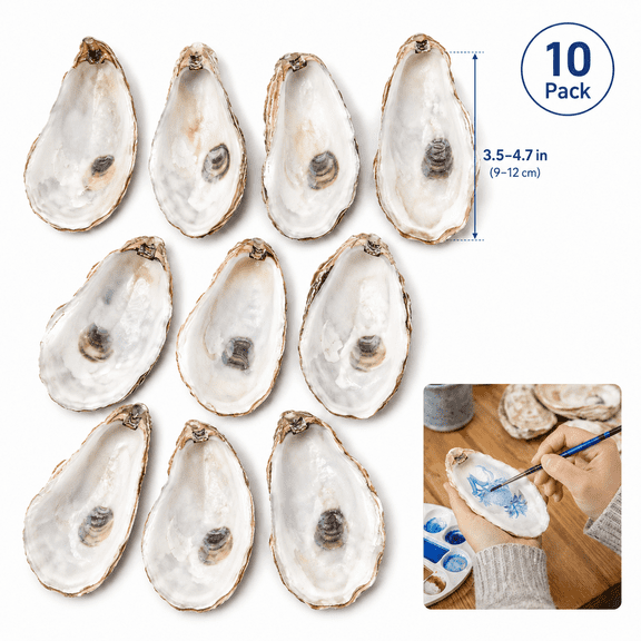 10 Pack Natural Flat Oyster Shells for Crafts, Real Seashells for Decoupage, Painting & DIY Decor